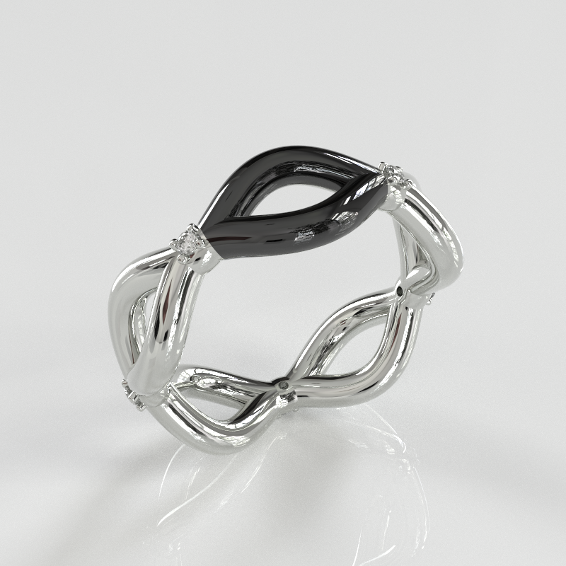 Anello Perseverance
